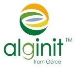 alginit-logo-final-en klein